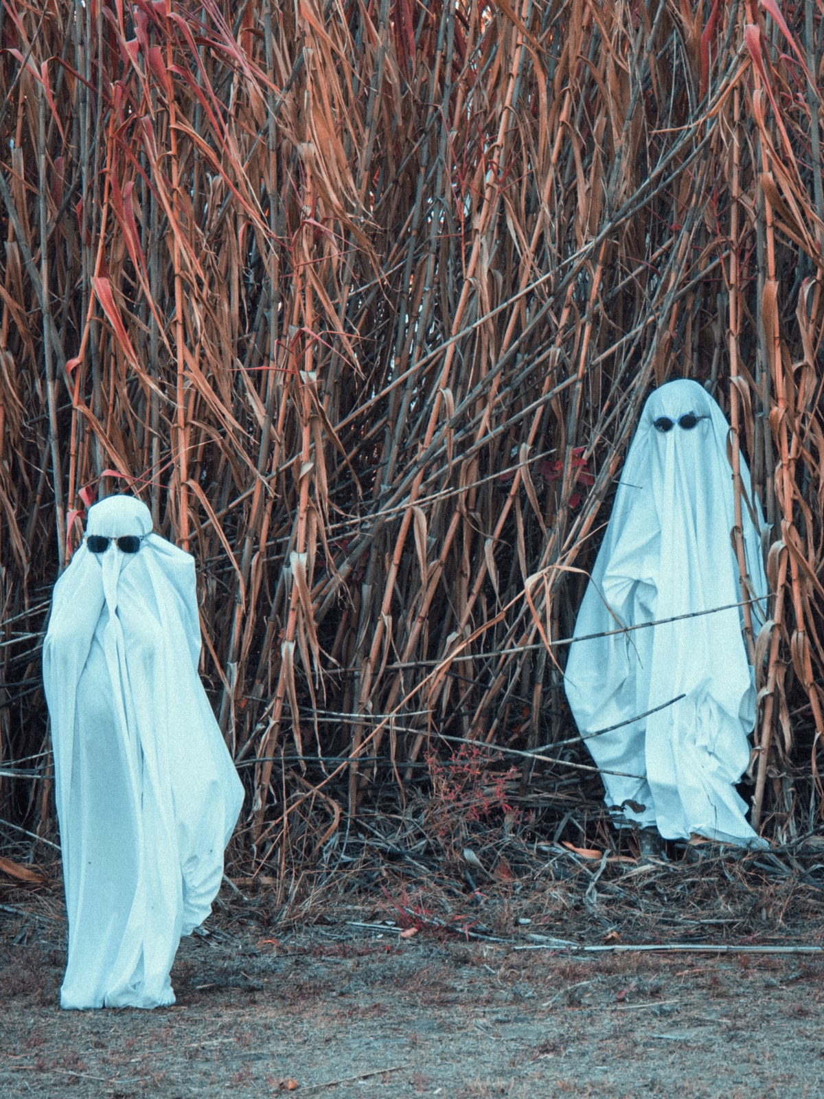 Ghosties 3