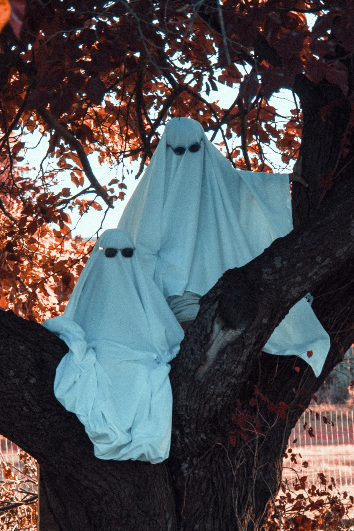 Ghosties 6