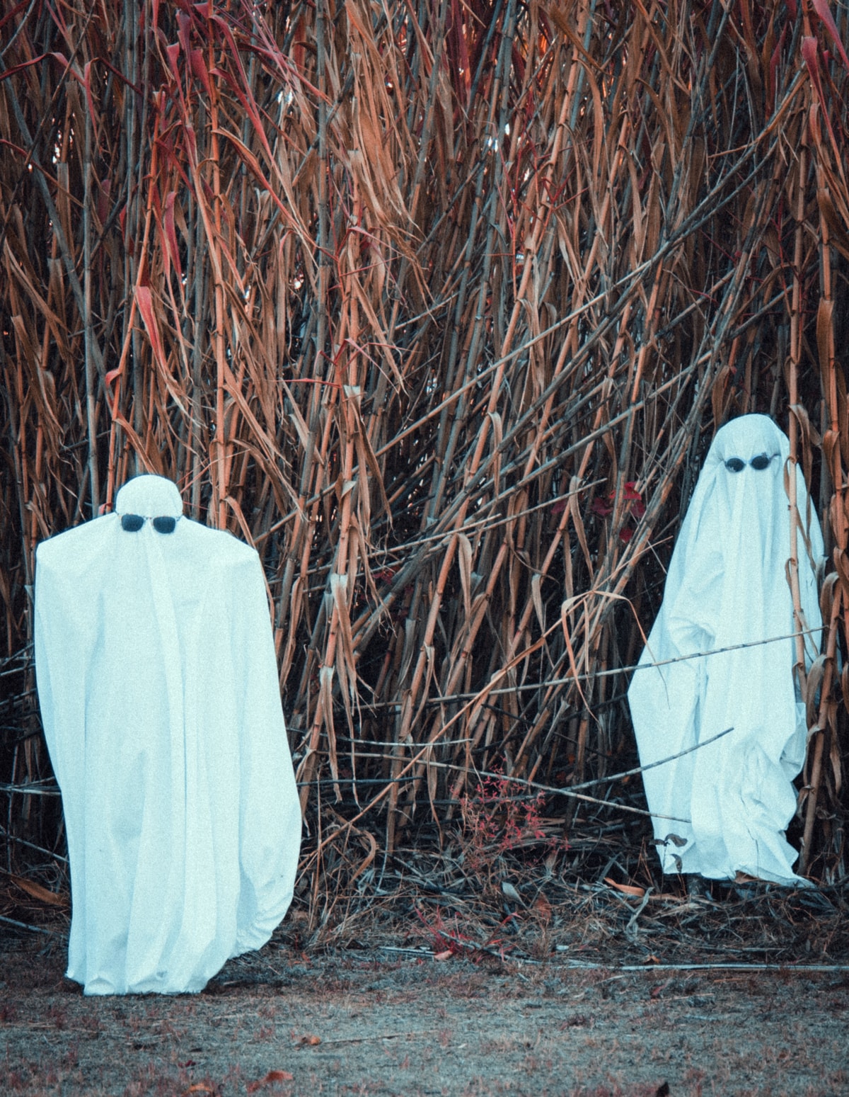 Ghosties 4