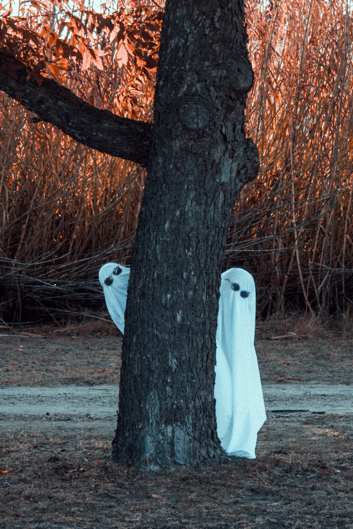 Ghosties 5